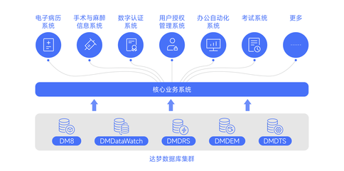 達夢數(shù)據(jù)助力廈門大學附屬成功醫(yī)院核心業(yè)務系統(tǒng)信創(chuàng)改造 — 打造國產(chǎn)數(shù)據(jù)庫服務新模式