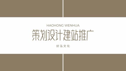 互聯(lián)時(shí)代的地方智慧 衡水手機(jī)建站單位與上海企業(yè)SEO的CP之戰(zhàn)